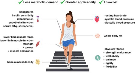 Bjsports 2024 108626 F1 Large