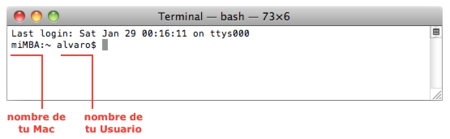 Aplicación Terminal, inicio