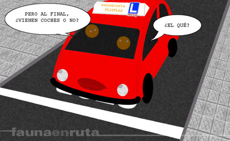 fauna en ruta: aprendizaje de la conducción