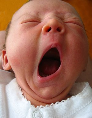 Dormir: Fundamental para poder aprender