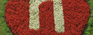 Português brasileiro está morrendo? Linguista aponta qual novo idioma tomará seu lugar 