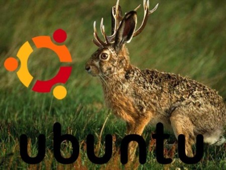 Calendario para Ubuntu 9.04 Jaunty Jackalope