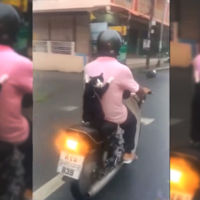 Si pensabas que el mejor amigo del motorista era el perro, es porque no conocías a Scootercat