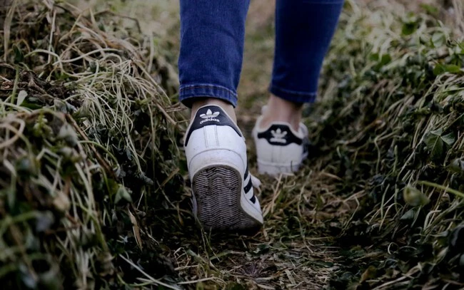 Adidas1