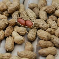 Los casos de alergia a los cacahuates han disminuido gracias a la recomendación sobre su introducción temprana