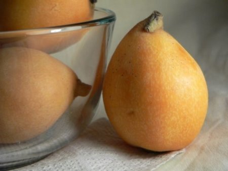 El níspero, una buena opción para obtener micronutrientes en primavera