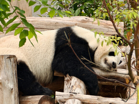 Oppo Find X9 Ultra 48