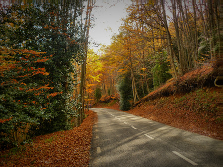 Citas para fotografiar el otoño: el Parque Natural de Montseny (Barcelona)