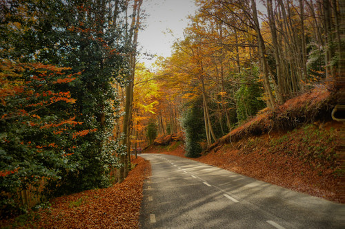 Citas para fotografiar el otoño: el Parque Natural de Montseny (Barcelona)