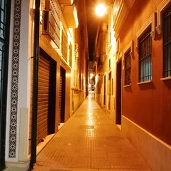 Foto 151 de 154 de la galería fotos-tomadas-con-el-honor-10-lite en Xataka Android