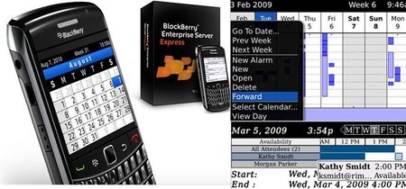 BlackBerry Enterprise Server Express para IBM Lotus Domino
