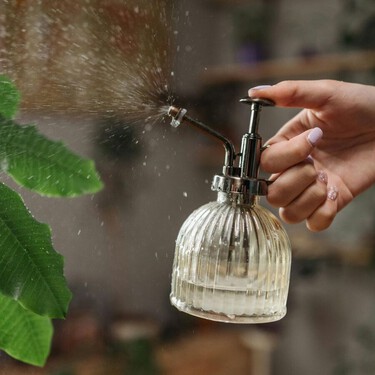 Así puedes aplicar jabón potásico en plantas con plagas: es el método natural más efectivo