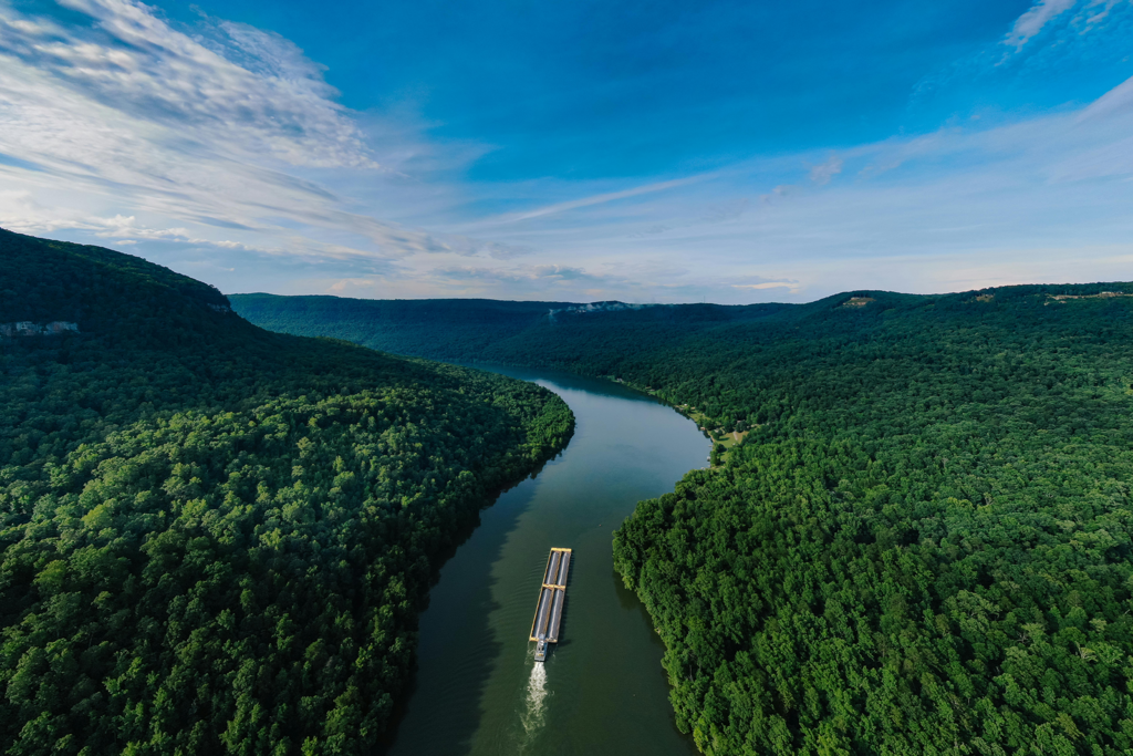 Qué es el medio ambiente, cómo funciona y por qué es clave para nuestra supervivencia 
