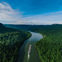 Qué es el medio ambiente, cómo funciona y por qué es clave para nuestra supervivencia 