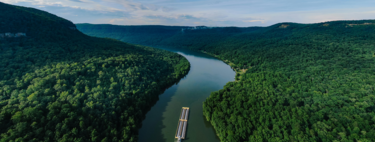 Qué es el medio ambiente, cómo funciona y por qué es clave para nuestra supervivencia 