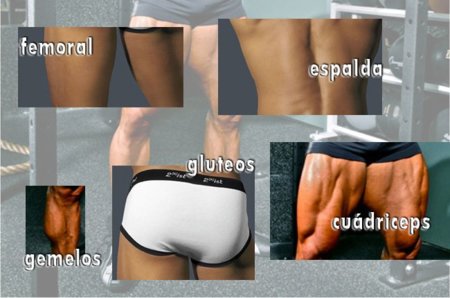 Vota tu parte del cuerpo masculino favorita (2ª Parte)