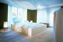 AMS Hilton