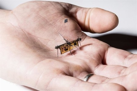 RoboFly, el primer insecto robot que vuela libre sin cables
