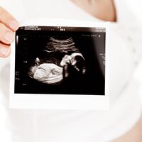 Ecografía de las 20 semanas: qué se observa y por qué es importante en el embarazo 