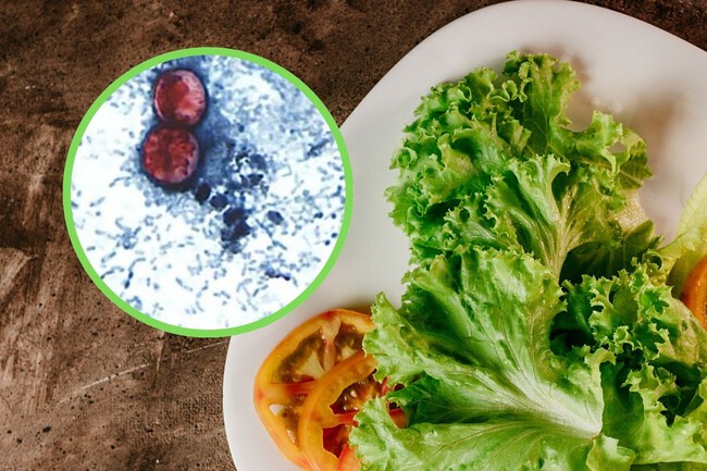 Cyclospora Ensalada