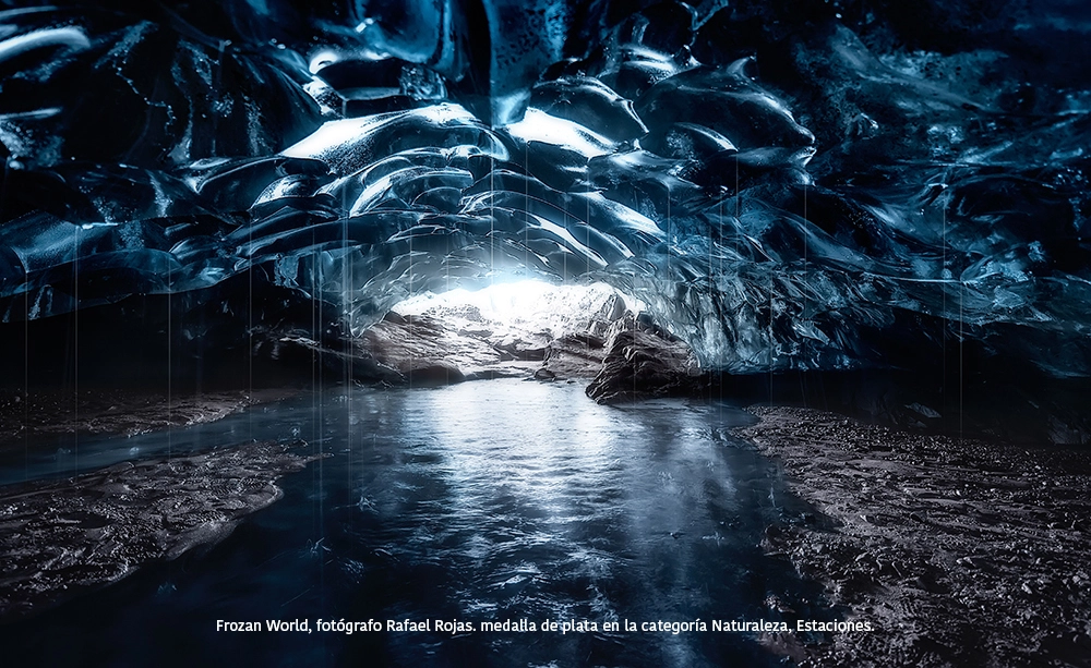 Frozan World - Javier de la Torre