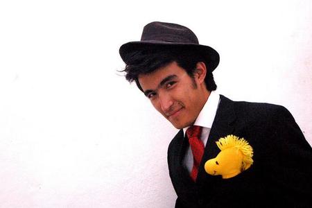 El consultor que consulta