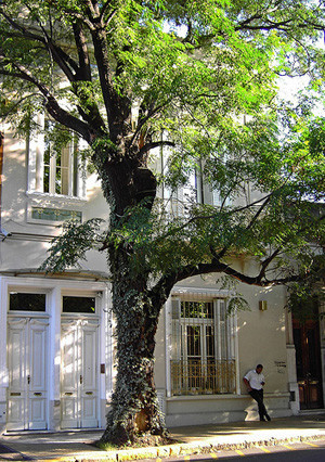 Francis ford Coppola abrirá un hotel boutique en Buenos Aires