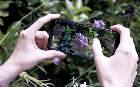 Sony Xperia Xz3 05