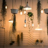 Solo hasta el lunes: con Plenitude el kWh te costará lo mismo las 24 horas y, de paso, te llevas una tarjeta regalo para Netflix 