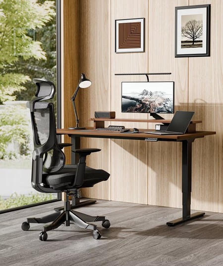 Flexispot E5 Pro