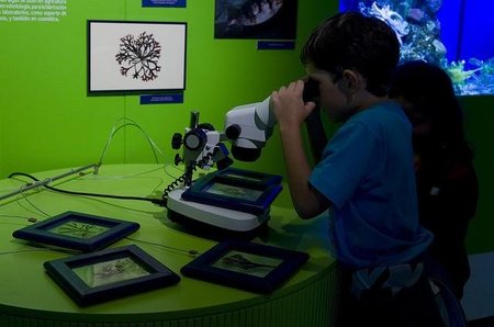 El cambio de modelo productivo ¿Dónde, aquí? Pues va a ser que no