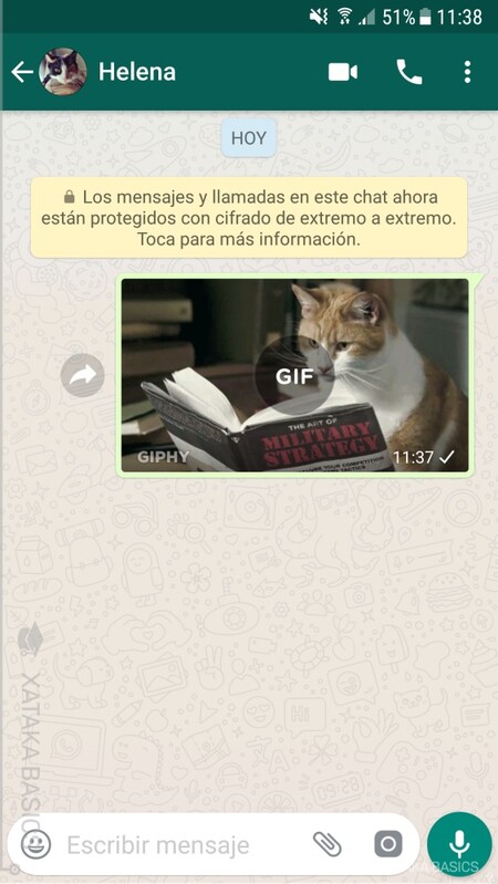 Gif Whatsapp