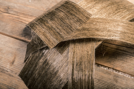 Lina 14El primer coche biodegradable se llama Lina y es obra de estudiantes de la universidad de Eindhoven