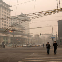Así impacta la contaminación en nuestros cerebros y en nuestras habilidades cognitivas