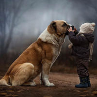 Cinco grandes consejos para hacer mejores fotos a tus hijos (de parte de una increíble fotógrafa)