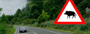 La noche en la que una carretera de Cantabria pareció la matanza del jabalí nos recuerda por qué la DGT ha estrenado esta nueva señal