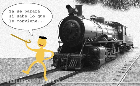 fauna en ruta: riesgo de atropello