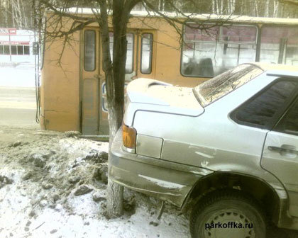 Aparcamiento entre árboles