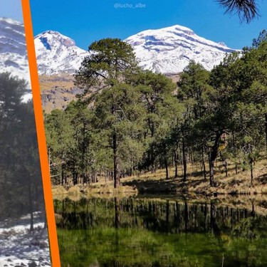 Entre pinos, oyameles y el Iztaccíhuatl se encuentra Laguna de Nahualac: el retrato navideño a 2 horas de CDMX