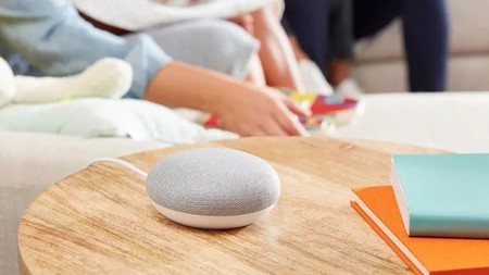 Home Mini