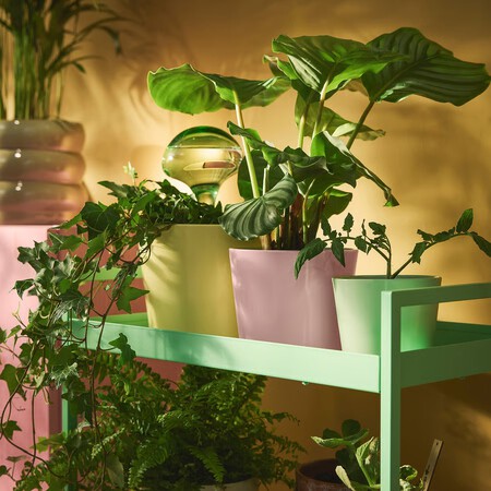 Accesorio Riego Automatico Plantas Interior Ikea Dispensador Agua