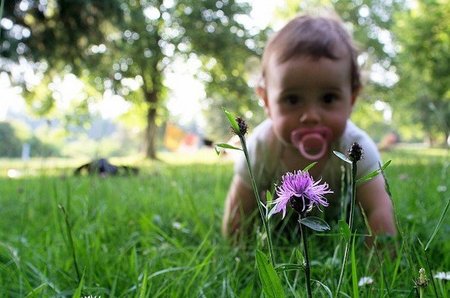 Bebé en el campo