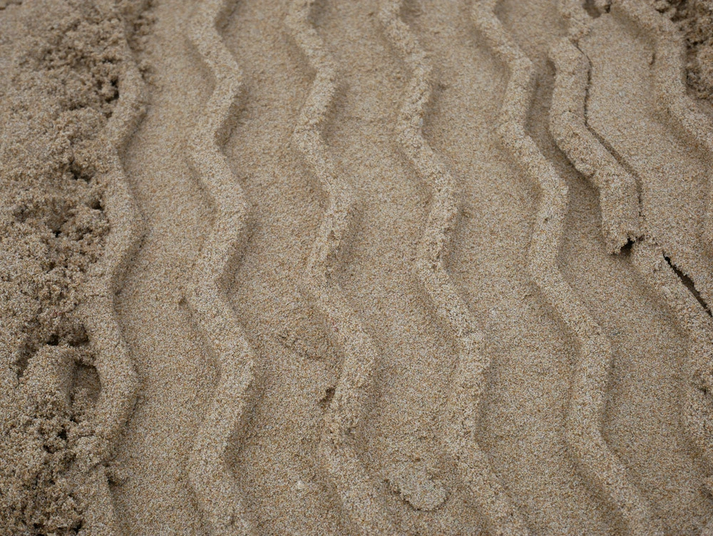 Foto de Panasonic Lumix GX800 Muestras (9/34)