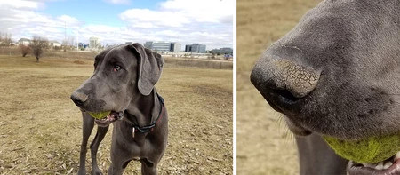 サムスンギャラクシーS8