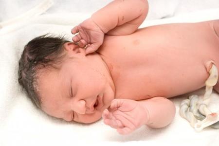 ¿Has conservado las células madre del cordón umbilical de tu bebé? ¿Por qué? La pregunta de la semana