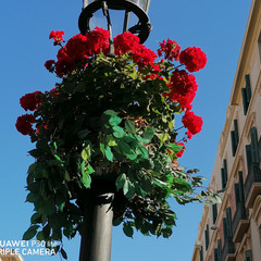 image01