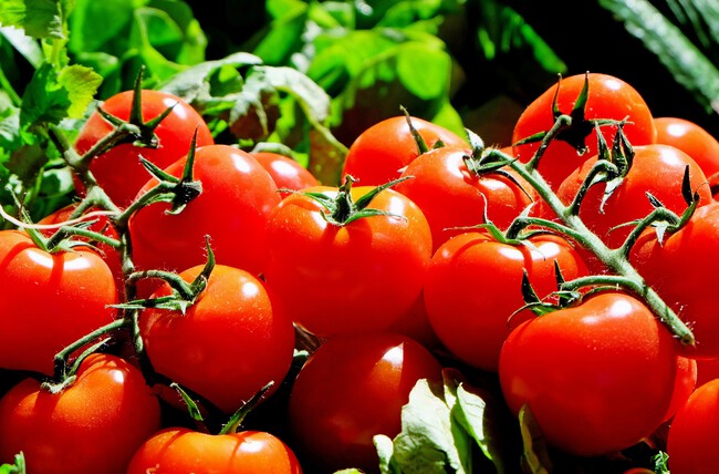 Plant Fruit Food Red Produce Vegetable 1221993 Pxhere Com