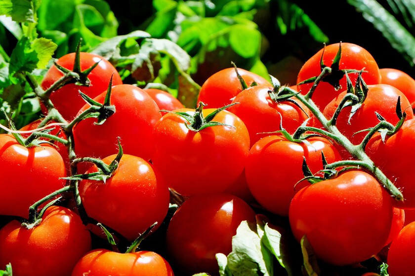 Plant Fruit Food Red Produce Vegetable 1221993 Pxhere Com