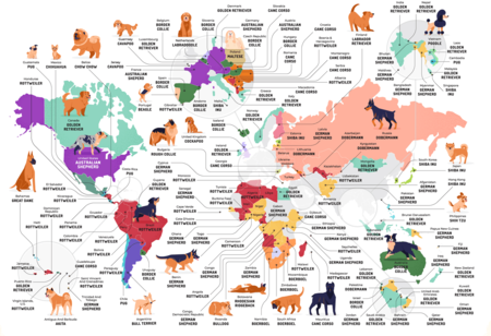 Mapamundi de los perros más buscados por Google