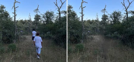 手動消去。ツールの跡が目立ち、特にクローンパッドによる汚れが目立ちます。